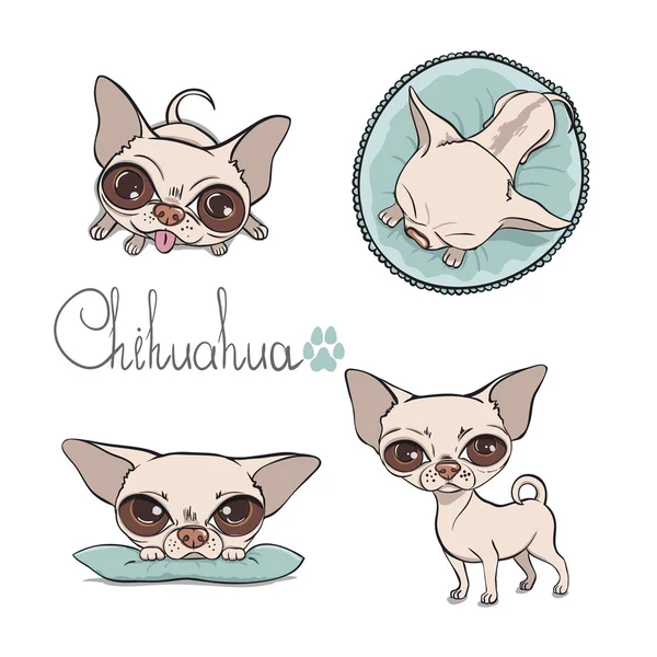 Vector chihuahua set
